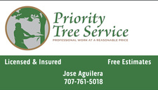 Priority Tree Service - Unlicensed Contractor logo