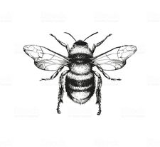 Earthwise LLC logo