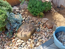 Logo for Big Bush Landscaping, LLC