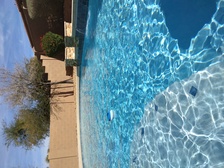 Logo for Pool Scid