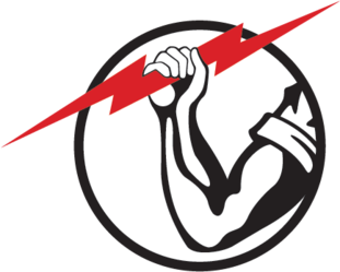 FIxItPro logo
