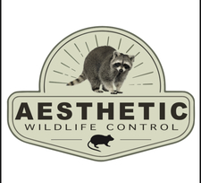 Logo for Aesthetic Wildlife Control