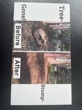 Tree Stump Grinder Solutions logo