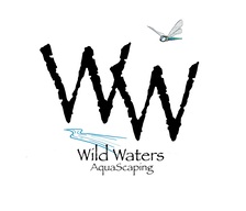 Avatar for Wild Waters Aquascaping LLC