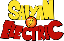 Avatar for Saiyan Electric, Inc.