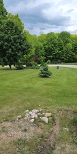 Avatar for Andrew's Outdoor Maintenance