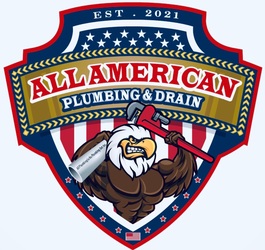 All  American Plumbing & Drain logo