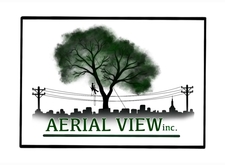 Logo for Aerial View Tree Service