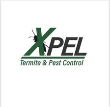 Xpel Termite & Pest Control, LLC logo