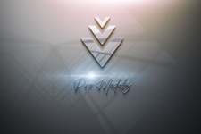 Logo for ProModelz