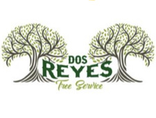 Avatar for Dos Reyes Tree Service