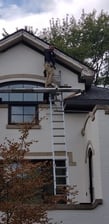 Avatar for Eddie's roofing