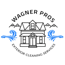 Logo for Wagner Pros VA