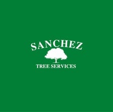 Logo for Sanchez Tree Services