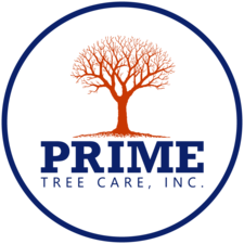 Logo for Prime Tree Care, Inc.