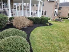 Logo for TMG Landscaping