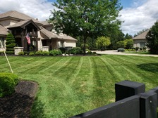 Avatar for Stripe Kings Landscaping