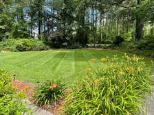 Ferguson Lawn Care logo