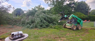 B&G Tree Service & Pressure Washing logo