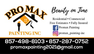 Promax Painting, Inc. logo