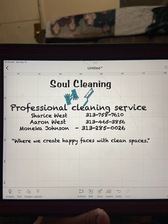 Avatar for Soul Cleaning