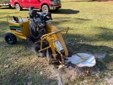 Professional Stump Grinding logo