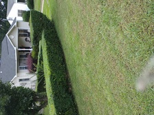 Avatar for Tim's Lawn Solutions