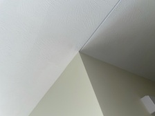 Logo for Prime Paintscaping Plus, LLC