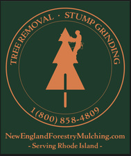 Logo for New England Forestry Mulch