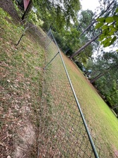 Avatar for Norton Pro Fencing