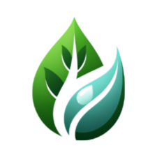 Avatar for Outdoor Boys Pressure Washing
