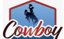 Cowboy Landscape Company logo