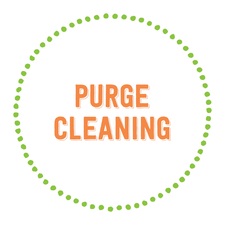 Logo for Purge Cleaning