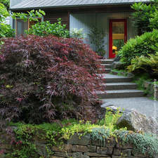 Avatar for Merino's Landscaping & Maintenance
