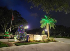 Avatar for Xmas Lights Pros