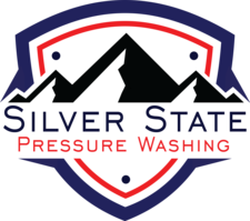 Avatar for Silver State Pressure Washing