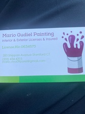 Mario Gudiel Painting Services LLC logo