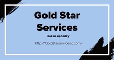Gold Star Services, LLC logo