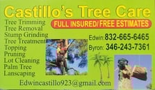 Avatar for Castillo's Tree Care