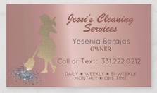 Jessis Cleaning Services logo