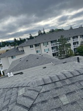 All In One Roofing, LLC logo