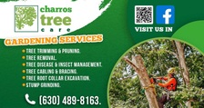 Logo for Charros Tree Service