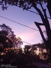 Avatar for Cortez Tree & Yard Service