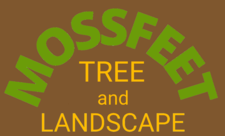 Avatar for Mossfeet Tree And Landscape