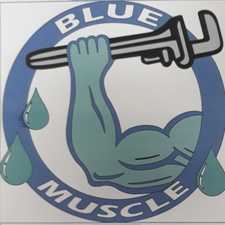 Logo for Blue Muscle Plumbing And Rooter Service