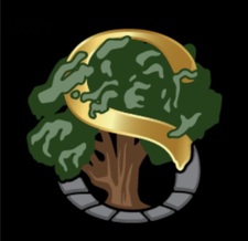 Stone Oak Landscape Design and Curbing logo