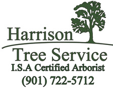 Logo for Harrison Tree Service