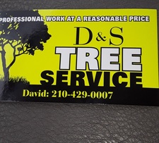 Logo for D&S Tree Service