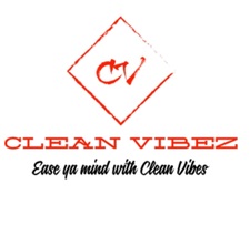 Clean Vibes logo