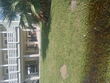 Ramirez Lawn Care logo